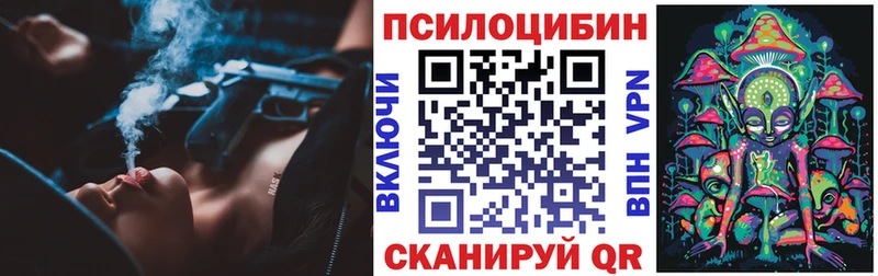 наркота  Заполярный  Псилоцибиновые грибы ЛСД 